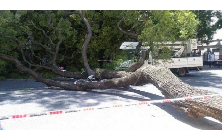 El siniestro se produjo en la intersección de las avenidas Independencia y Entre Ríos.