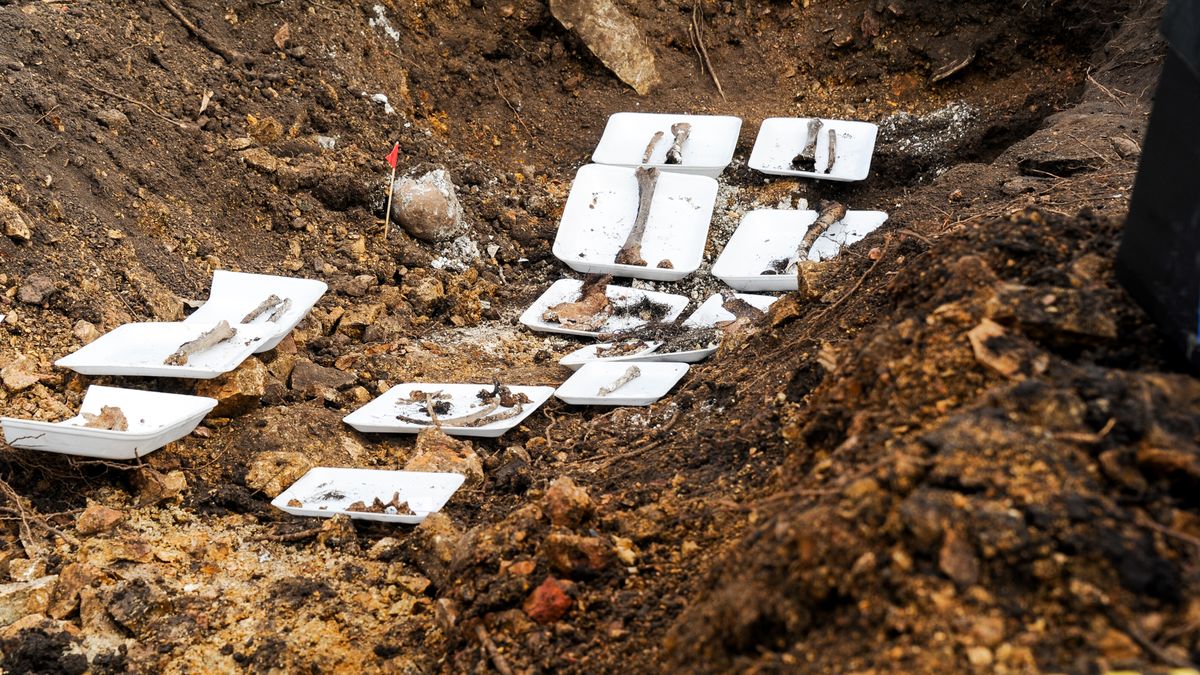 New bone remains found in Battalion 14, near where Amelia Sanjurjo was found