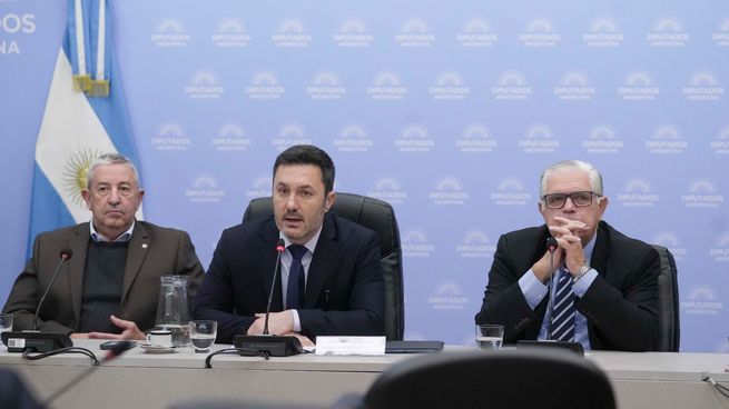 Luis Petri en laComisin de Defensa Nacional de la Cmara de Diputados.