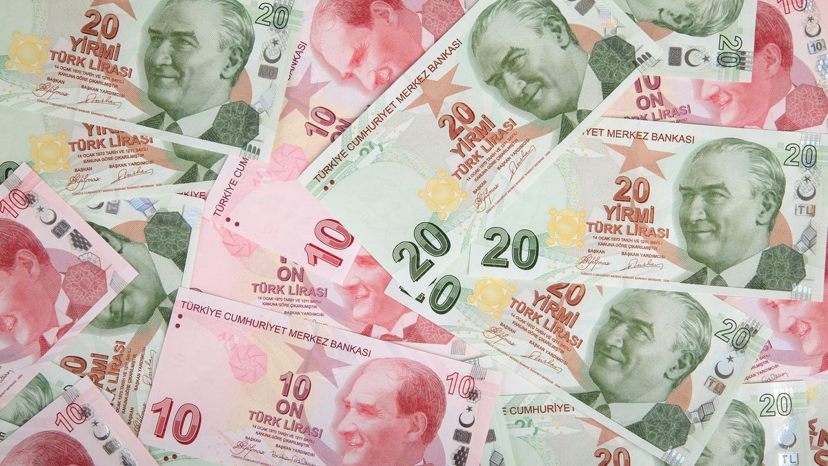 The Turkish lira collapses against the dollar and has its worst day in 8 months
