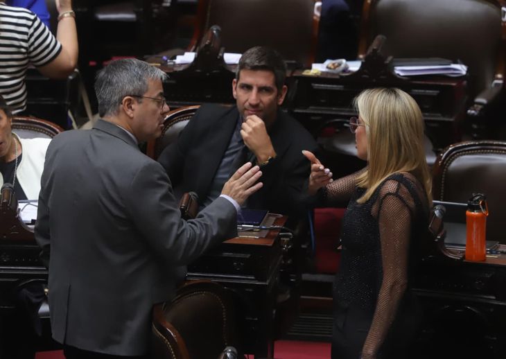Germán Martínez, titular del bloque peronista, junto a la diputada libertaria Virginia Gallardo. Germán Martínez, titular del bloque peronista, junto a la diputada libertaria Virginia Gallardo.