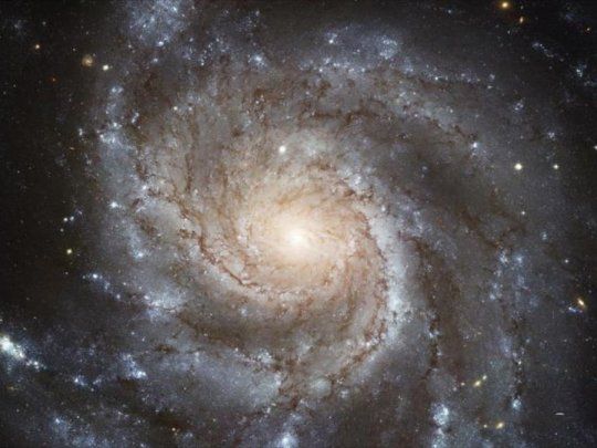 Estrellas del centro de la Vía Lactea vendrían desde otras galaxias.