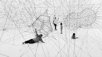 Artista argentino presenta en Nueva York una obra para denunciar la crisis ambiental