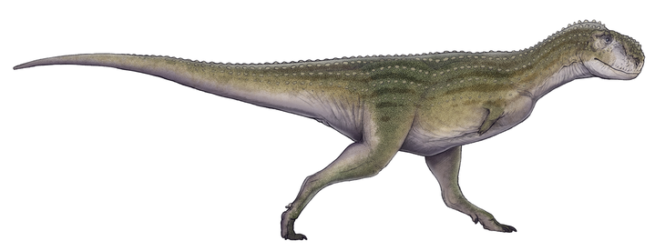 Estos dinosaurios pertenecían a la familia Abelisauridae, una especie carnívora homóloga a los tiranosaurios del hemisferio norte. Estos dinosaurios pertenecían a la familia Abelisauridae, una especie carnívora homóloga a los tiranosaurios del hemisferio norte.