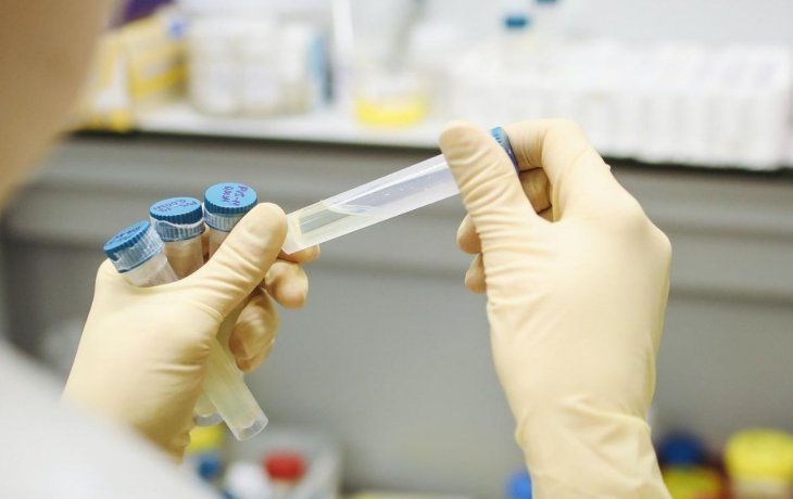 ámbito.com | científicos