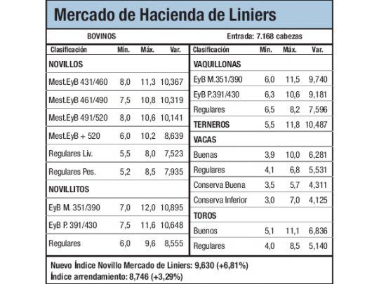 Novillos subieron entre 1% y 1,6%