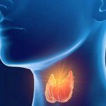 La clave está en la consulta médica temprana, el seguimiento adecuado y la incorporación de hábitos saludables que acompañen el manejo de la enfermedad. La clave está en la consulta médica temprana, el seguimiento adecuado y la incorporación de hábitos saludables que acompañen el manejo de la enfermedad.