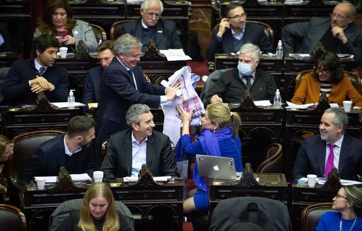diputados-camanao-randazzo-boleta-unica-2022jpg