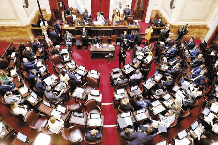 P8 - Senado 27-10-2022_opt.jpeg