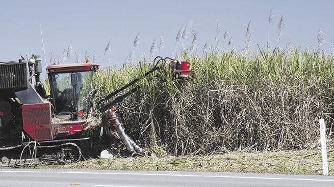 La empresa tiene una superficie cultiva de alrededor de 40.000 hectáreas de caña de azúcar.