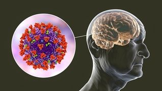 Aunque no te hayas contagiado, la pandemia pudo haber envejecido tu cerebro hasta 5,5 meses, según una investigación británica.