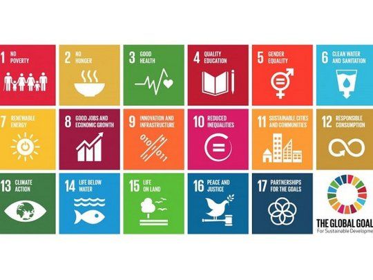 Informe independiente analizó objetivos de sanidad de la ONU