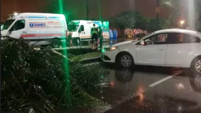 El vehículo terminó incrustado contra una palmera