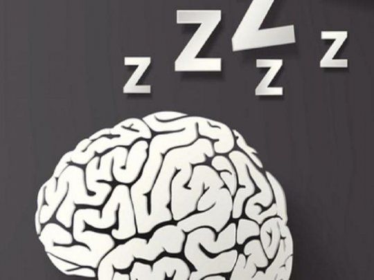 Cerebro al despertarse.&nbsp;