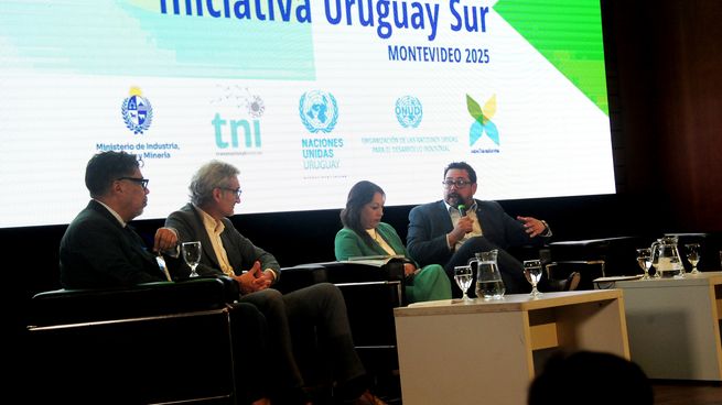 La propuesta establece repensar la industria verde y las finanzas internacionales desde el Sur global.