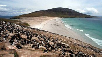 Isla Borbón en venta, al sur de Gran Malvina.&nbsp;