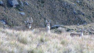 El turismo de verano también se disfruta lejos de la costa. El turismo de verano también se disfruta lejos de la costa.