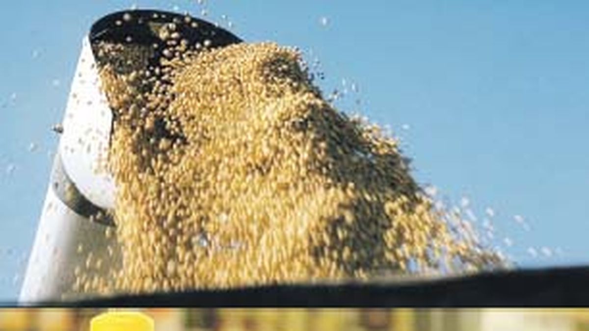 India removed tariffs on soybean and sunflower oil