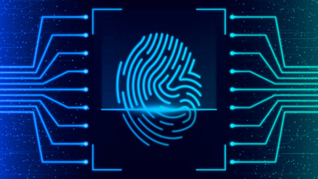 Información importante sobre la CURP Biométrica. Información importante sobre la CURP Biométrica.