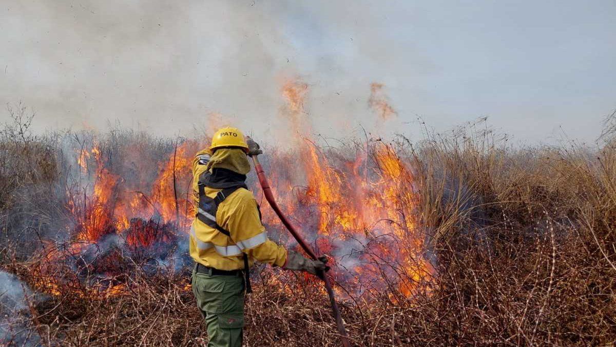 Incendios forestales: Salta, Corrientes, Entre Ríos y Tierra del Fuego tienen focos activos