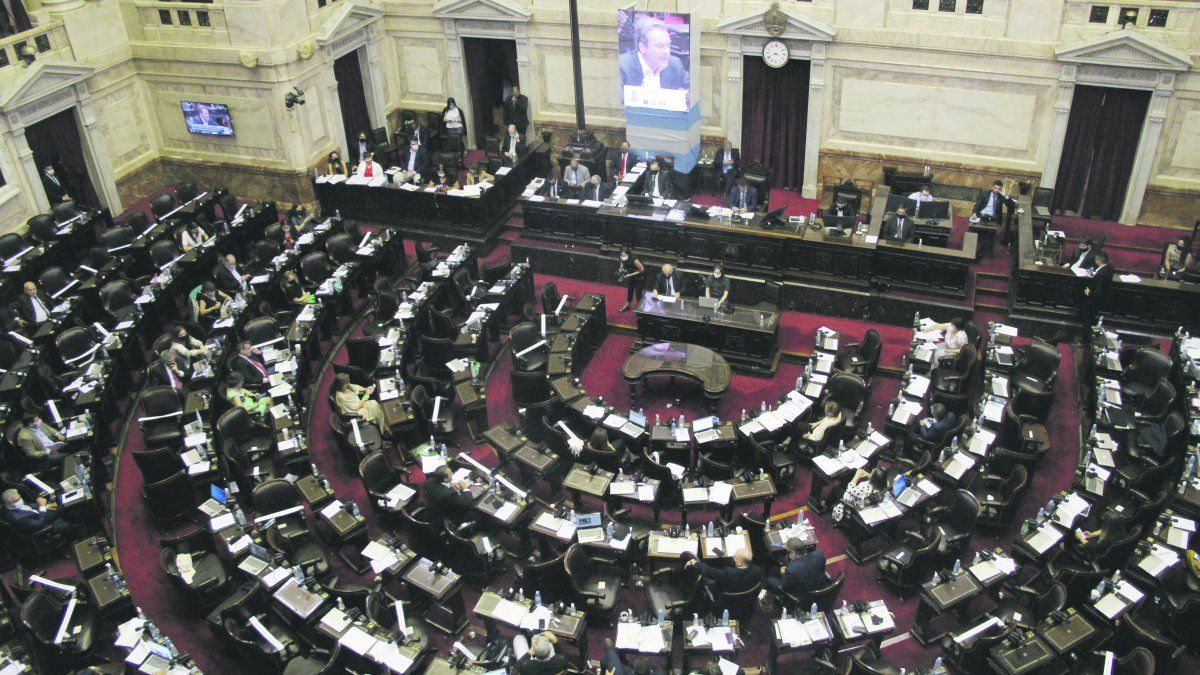 Todos los bloques menos Juntos por el Cambio avalaron la continuidad de las sesiones mixtas
