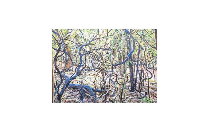 ámbito.com | “Sin Título”, de Adrián Paiva, Primer Premio Area Metropolitana del prestigioso certamen, que este año distinguió obras y artistas de excelente nivel, pero con esquemas repetidos que pudieron haber sido exitosos en premios anteriores.