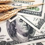 Las cotizaciones en Chicago siguieron retrocediendo y llevaron al trigo a atravesar en la semana la barrera de los u$s200 por tonelada.