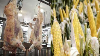 temor en productores franceses por carne, pollo y maiz del mercosur