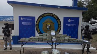 Se incautó en Paysandú un total de 414 kilos de pasta base y 1 kilo de cocaina. Se incautó en Paysandú un total de 414 kilos de pasta base y 1 kilo de cocaina.