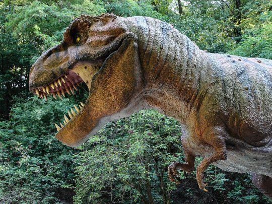 Subastaron casi 300 huesos de un Tiranosaurio Rex gigante por us6,1
