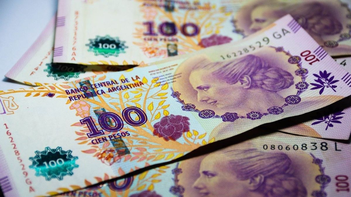 Monotributistas and freelancers can already request a bonus of $ 22,000