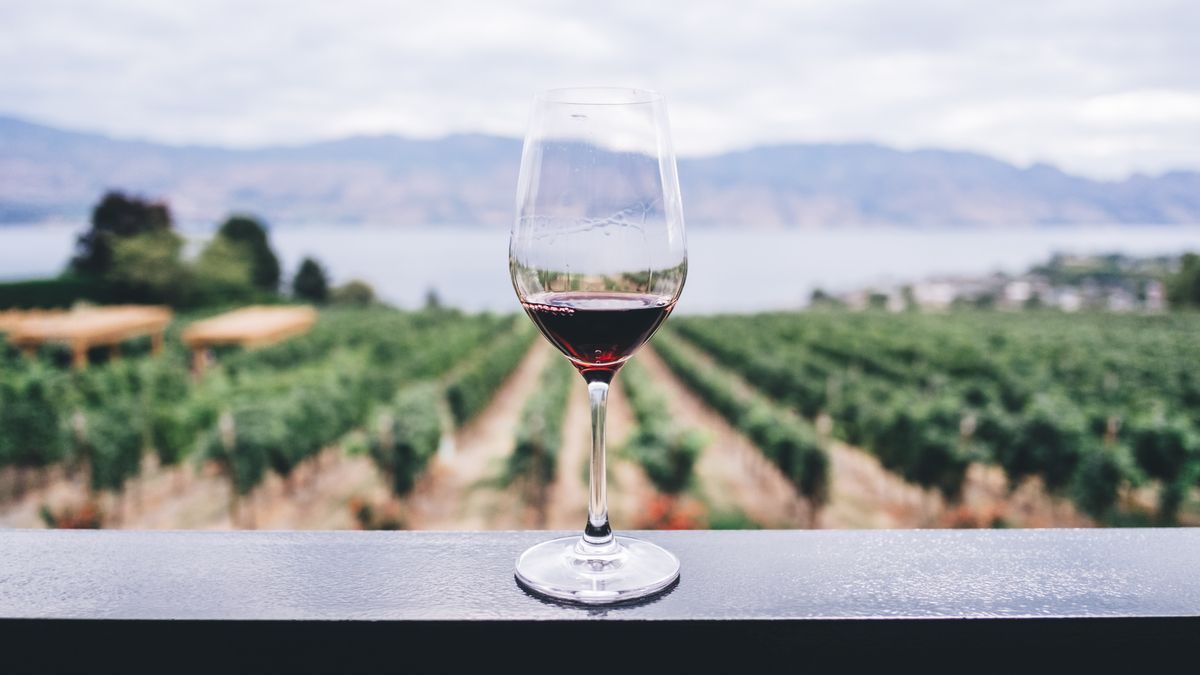 Wine tourism is growing as a tourism sector in the country Wine tourism is growing as a tourism sector in the country