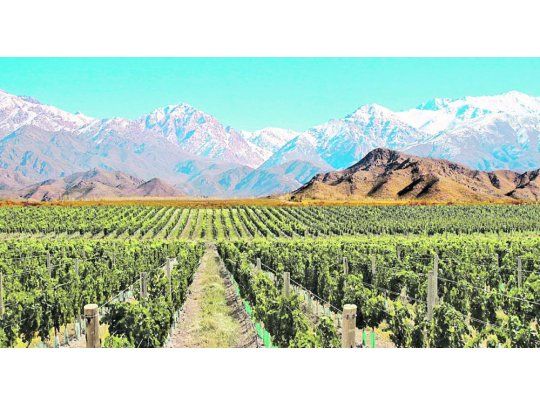 Chubut proyecta su Ruta del Vino