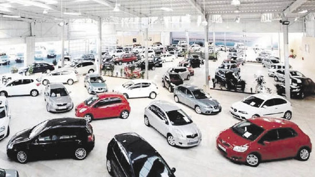 Car importers ask to operate with their own dollars to survive