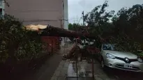 Javier Milei se solidarizó con las víctimas en Bahía Blanca.