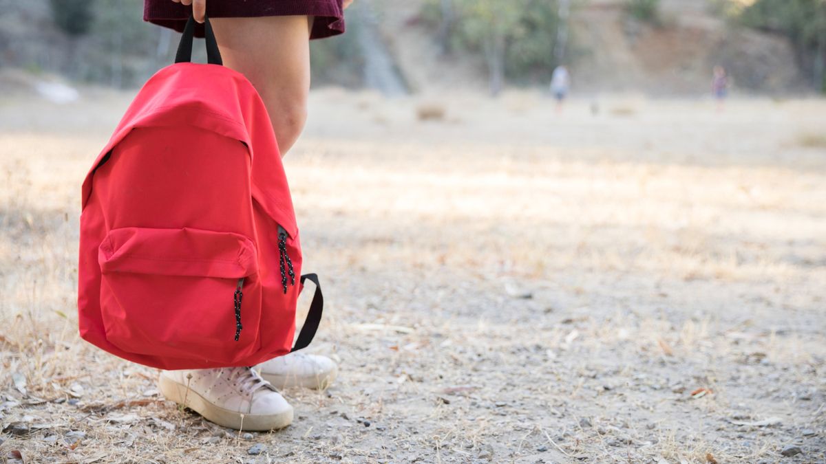 Neither backpacks nor backpacks: what is the new trend for vacations