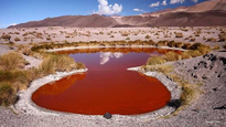El&nbsp;Salar de Antofalla﻿, ubicado en el&nbsp;norte argentino﻿.