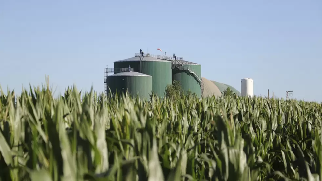 Biocombustibles, un debate que se avecina en el Congreso de la Nación.