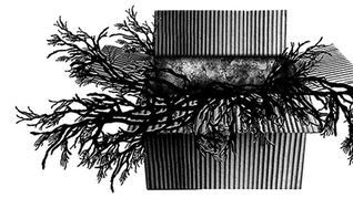 El nuevo libro sobre la artista reúne miradas críticas y textos propios que revelan una obra sensible, atravesada por la ecología, la identidad y el pulso del entorno. El nuevo libro sobre la artista reúne miradas críticas y textos propios que revelan una obra sensible, atravesada por la ecología, la identidad y el pulso del entorno.