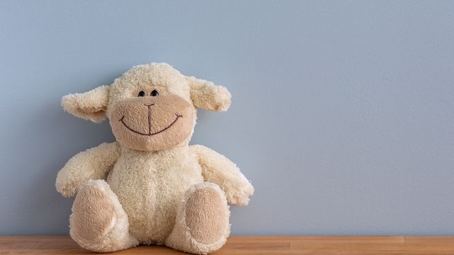 Tips para limpiar los peluches. 