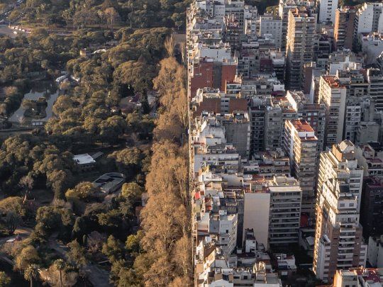 Hubo una mejora en la calidad del aire en la ciudad de Buenos Aires.