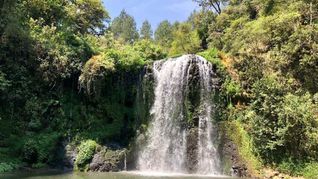 Qué hacer en Agua Morada, Acaxochitlán Hidalgo Qué hacer en Agua Morada, Acaxochitlán Hidalgo