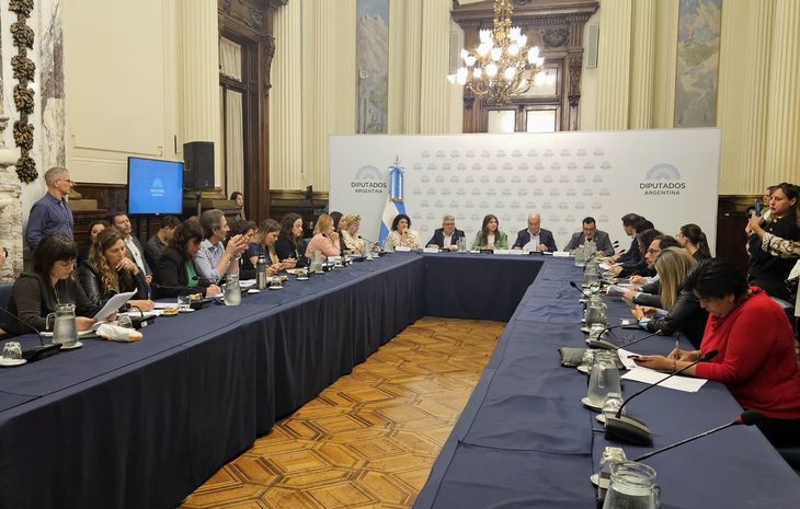 Comisión de Cultura de la Cámara de Diputados. Comisión de Cultura de la Cámara de Diputados.