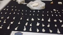 Parte de lo secuestrado durante el operativo en Avellaneda.
