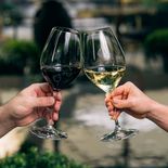 La Ruta del Vino en Buenos Aires. La Ruta del Vino en Buenos Aires.