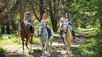 La diversidad de propuestas permite combinar el contacto con la naturaleza con la cultura rural y las tradiciones serranas.