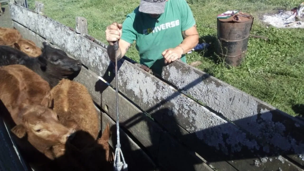 He played in Racing, had a stint in Italian football and is now dedicated to raising cows