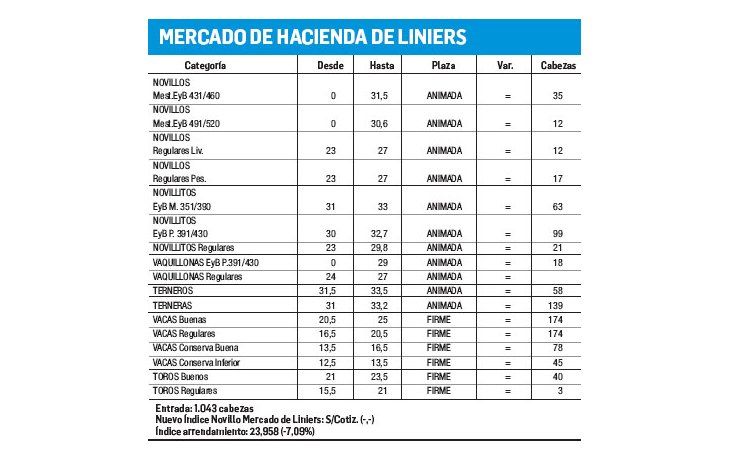 Escasos ingresos y poca demanda