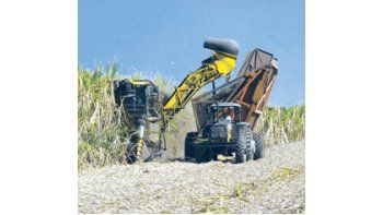 La producción mundial de azúcar 2010/11 crecería a 165,1 millones de toneladas, desde los 154,4 millones de la temporada anterior.
