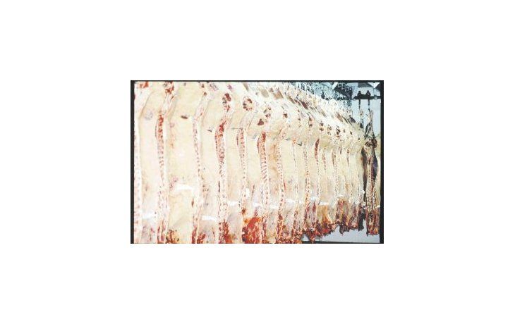 En 2000 se registraron ventas a Canadá de alrededor de 26.000 toneladas de carne vacuna fresca y congelada.